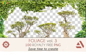 100 个植物树叶照片剪影 Foliage volume 3