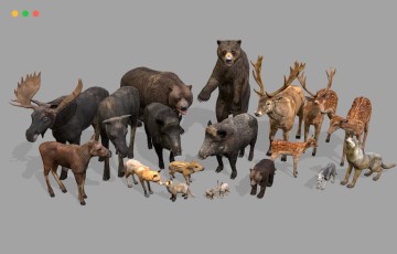 Unity – 森林动物 Forest animals