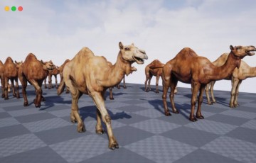 【UE4/5】骆驼 African Animal – Camel (Dromedary)