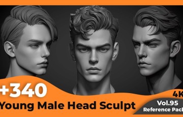 340 张年轻男性头部雕刻参考照片 Young Male Head Sculpt Reference(4k)
