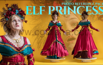 477张精灵公主服装装饰品参考图片 Elf Princess Photo Reference Pack for Artists