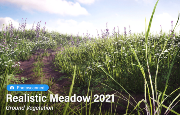 Unity – 写实绿色花草植物 Realistic Meadow Ground Vegetation