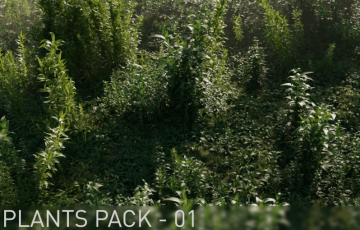 模型资产 – 植物包 Plants Pack 01