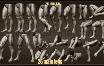 26 组男腿姿势3D模型 26 Male leg poses 3D models ZTL+OBJ+STL