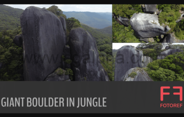 260 张丛林巨石参考照片 260 photos of Giant Boulder in Jungle