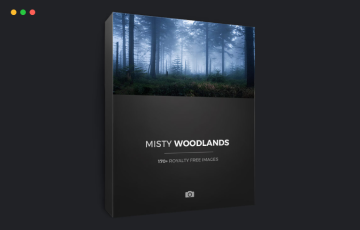 170 张迷雾森林参考照片 MISTY WOODLANDS