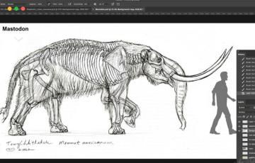 【中文字幕】手绘大象解剖史前研究与虚构概念 Elephant Anatomy Vol. 2 PREHISTORIC STUDIES & IMAGINARY CONCEPTS