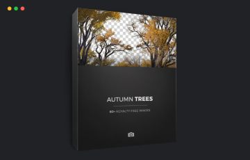 63 张免扣素材秋天的树木参考照片 AUTUMN TREES