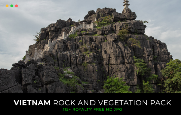 115 张岩石和植被参考照片 Rock and vegation pack