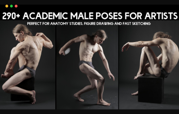 290 张男性肌肉解剖姿势参考图片