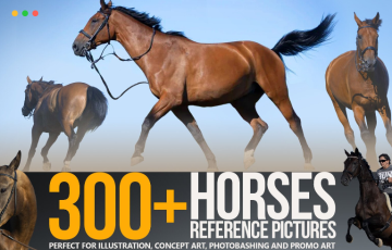 300 多匹马动态姿势参考图片 300+ Horses Reference Pictures