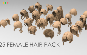 模型资产 – 25种女性头发基础模型 25 Female hair pack 1