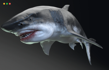 【UE4/5】海怪巨齿鲨  MEGALODON – Sea Monster Series 5