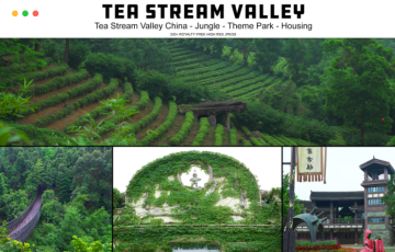 茶园照片参考 Tea Stream Valley China Theme Park