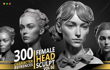300 张女性头部雕刻角色参考照片 300 Female Head Sculpt Character references