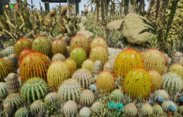 【UE4】仙人掌植物资产 Cactus Plants: Desert Garden