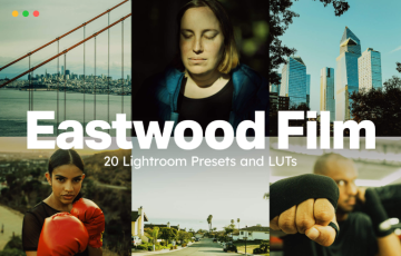【LUT】20 个Eastwood Film Lightroom 预设和 LUT预设