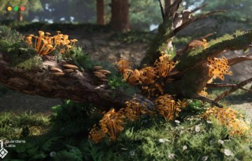【UE5】森林真菌蘑菇 Forest Fungi – Mushroom Pack