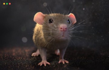 【UE4/5】老鼠 Mouse