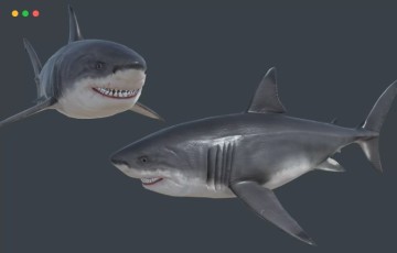 Unity – 巨齿鲨 Megalodon (Carcharocles megalodon)