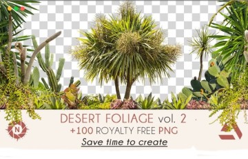 沙漠植物树叶参考包 PNG Photo Pack: Foliage – Desert volume 2