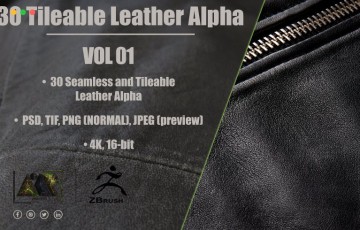 30 种皮革材质素材 30 Leather Alphas