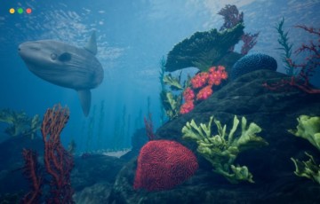 【UE4/5】海洋环境包 Ocean Environment Pack 2 – Coral Reef