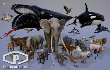 Unity – 森林动物资源包 ANIMALS FULL PACK