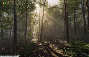 Unity – 写实森林环境 Nature Package – Forest Environment