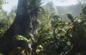 Unity – 热带森林包 Tropical Forest Pack