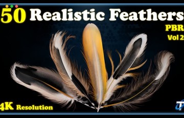 50 种风格化羽毛PBR 纹理 50 Realistic Feather – PBR Textures (MEGA Bundle) – Vol 2