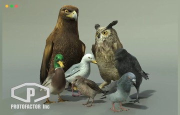 Unity – 鸟类资产包 BIRDS PACK