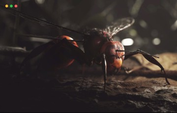 模型资产 – 大黄蜂昆虫3D模型 Japanese Hornet Wasp Insect Low-poly 3D model