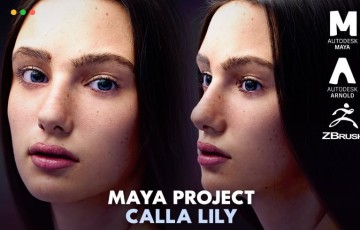 Maya工程 – 写实人物角色 MayaCalla Lily Maya Project