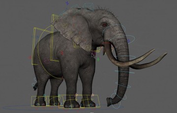 Maya工程 – 大象绑定模型 Elephant Maya Rig