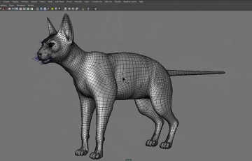 Maya工程 – 斯芬克斯猫绑定模型 Sphynx Cat Maya Rig