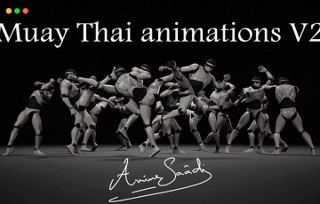 Unity动画 – 跆拳道泰拳格斗动画 Combat animations – Kickboxing and Muay Thai V2