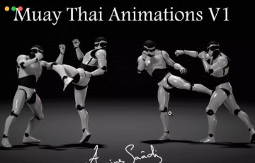 Unity动画 – 跆拳道泰拳格斗动画 Combat animations – Kickboxing and Muay Thai V1
