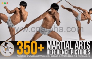 350 张武术武打动作动态姿势参考图片 350+ Martial Arts Reference Pictures