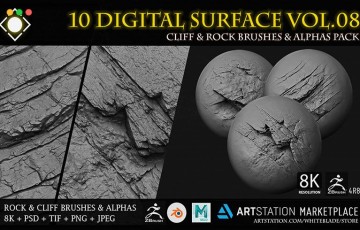 10 种岩石和悬崖笔刷 10 Digital Surface Rock and Cliff Brushes