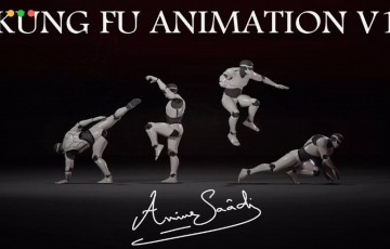 Unity动画 – 功夫少林武术动画 Combat animations – Kung fu V1