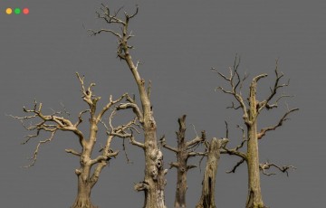 模型资产 – 写实橡树3D模型 Blender600-Year-Old Dead Oaks