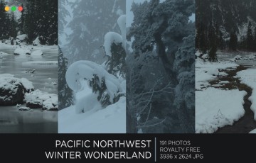 190 组西北太平洋冬季仙境照片素材 Pacific Northwest Winter Wonderland