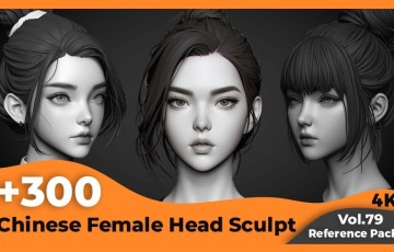 300 张中国女性头部参考图片 Chinese Female Head Sculpt(4k)