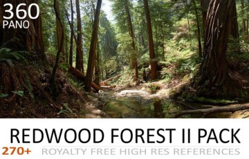 270 张红木森林照片参考 REDWOOD FOREST II PACK