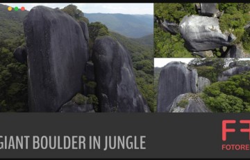 260 张丛林巨石参考照片 260 photos of Giant Boulder in Jungle