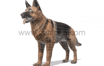 Unity-德国牧羊犬模型Dog Shepherd animations2.0