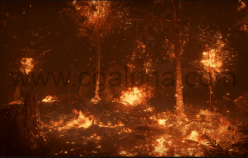 【UE4】火灾森林Forest Fire