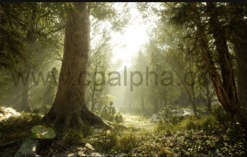 【UE4】原始森林资产包 Brushify – Forest Pack