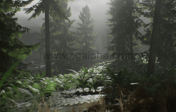 【UE4】写实的森林资产包 Realistic Forest Pack